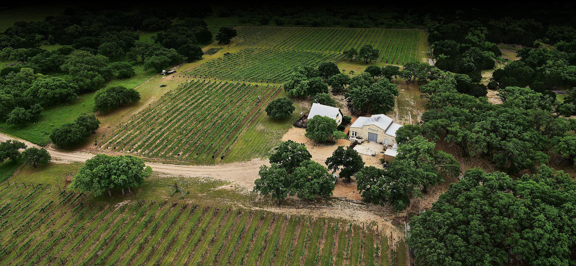 Westcave Cellars Winery Hill Country Wine Tasting & Tours