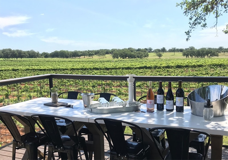 view of the vineyard at Sandy Road Vineyard near Hye, Texas